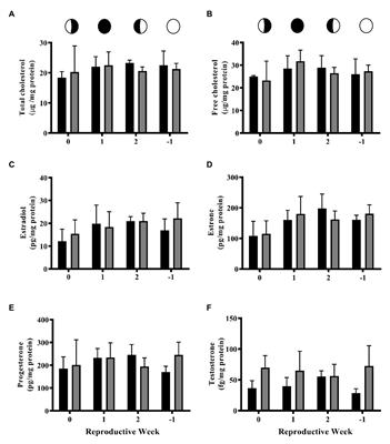 Chronic Exposure to 4-Nonylphenol Alters UDP-Glycosyltransferase and Sulfotransferase Clearance of Steroids in the Hard Coral, Pocillopora damicornis